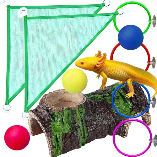 Size piece axolotl - size, 10-piece